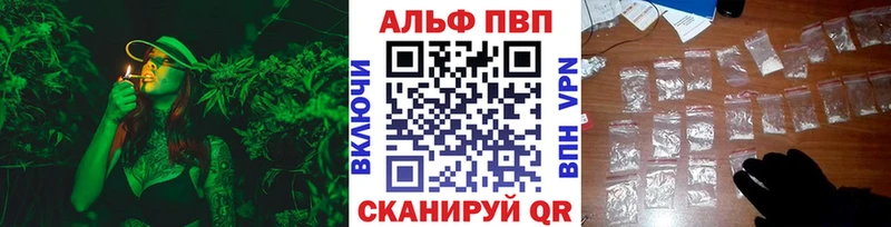 Alfa_PVP СК КРИС Улан-Удэ