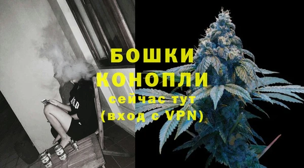 соль ск Богданович