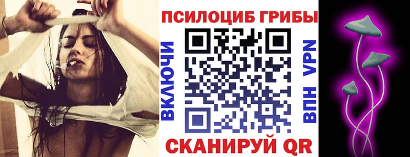 Галлюциногенные грибы Psilocybine cubensis  Улан-Удэ 