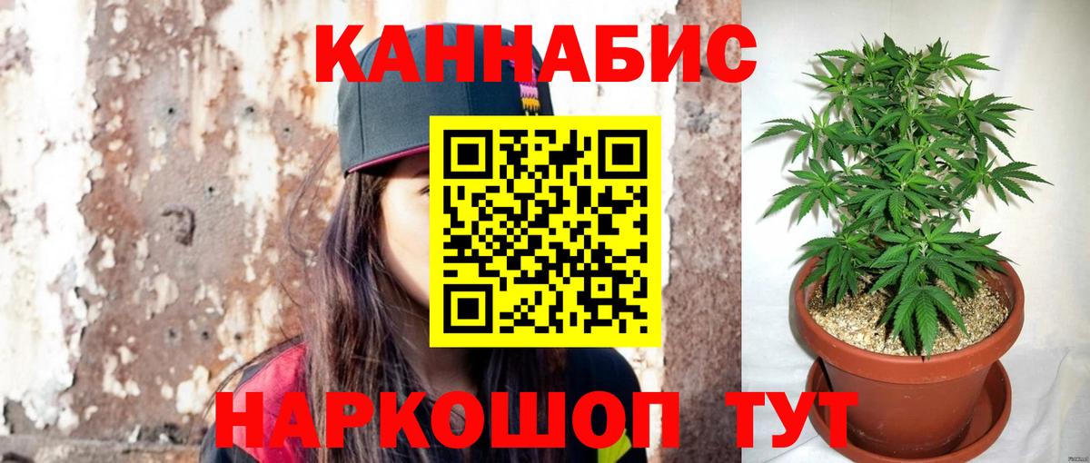 Каннабис сатива Улан-Удэ